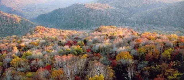 重庆和成都，哪个旅行地最受外地人欢迎？