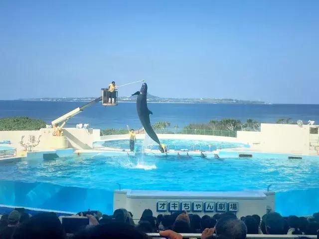 如果旅行是毒药，那姐妹淘就是我的解药！