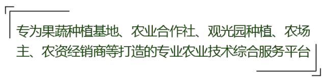 国家公布农村土地确权最新进度，这20个细节不能忽视！