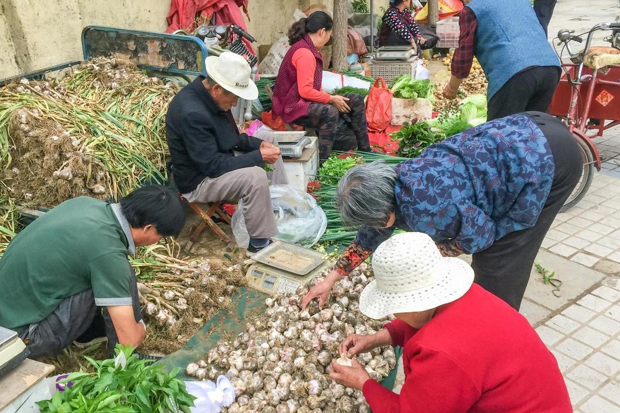 农村烂泥里的这野味 滋阴排毒养颜很多人却不