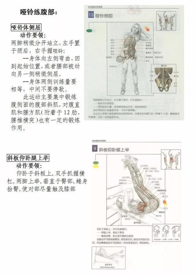 身体各部位哑铃肌肉健身图解！想练哪里一目了然，转了收藏！