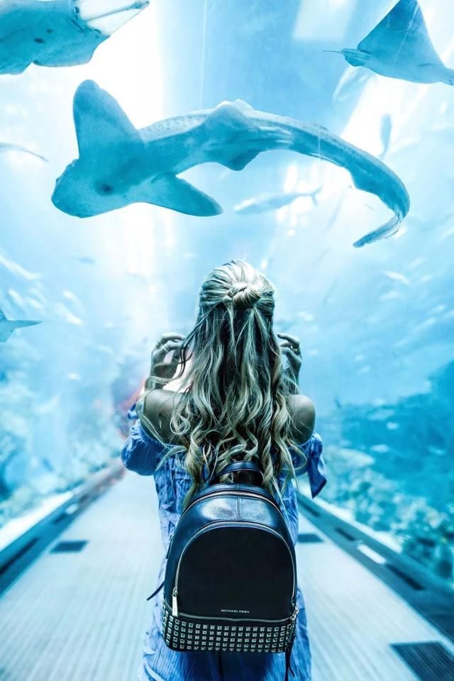 阿联酋要免签证了,这么多叹为观止的网红景点