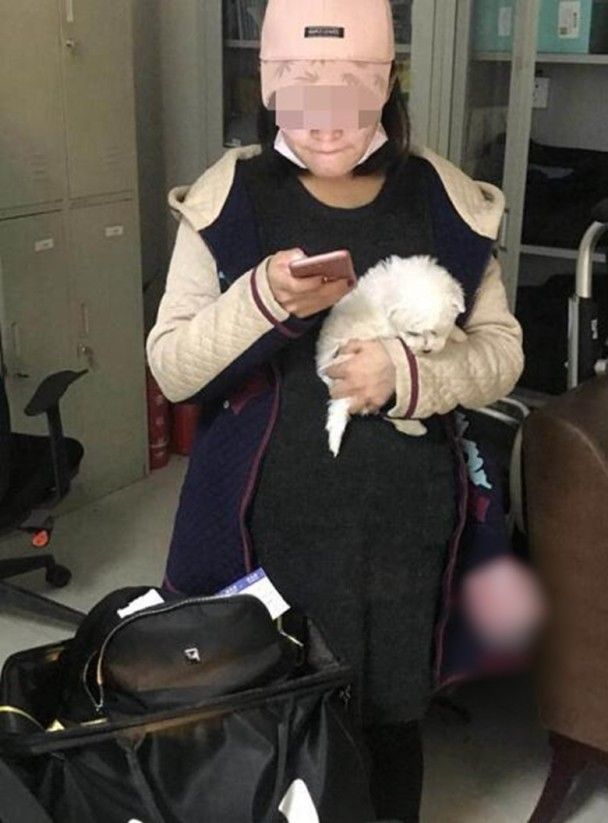 孕妇梦境中的危机，解读好多狗追着咬我的深层含义
