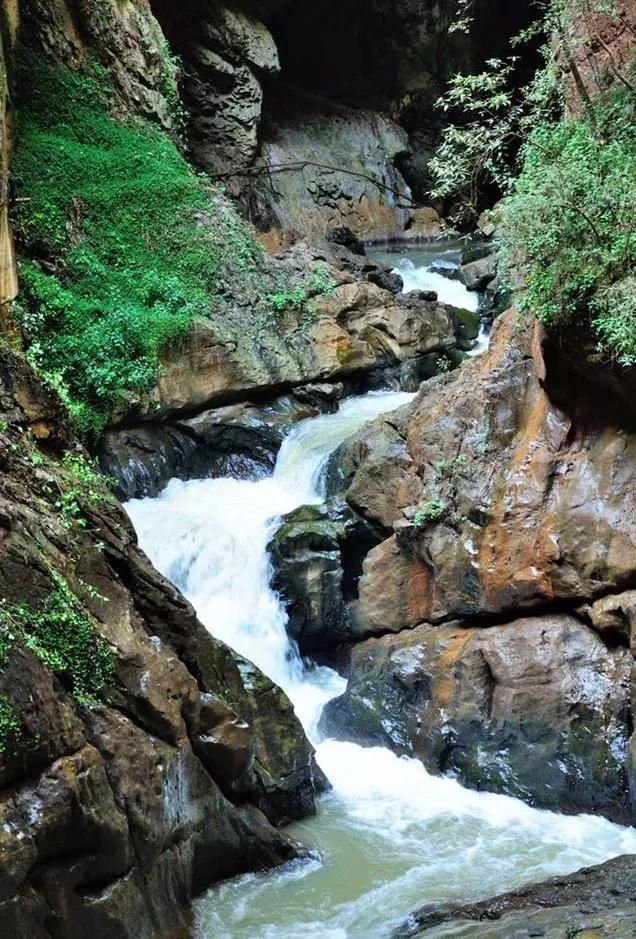 这才是3月最值得去的地方！最近的就在市内，周末就出发！