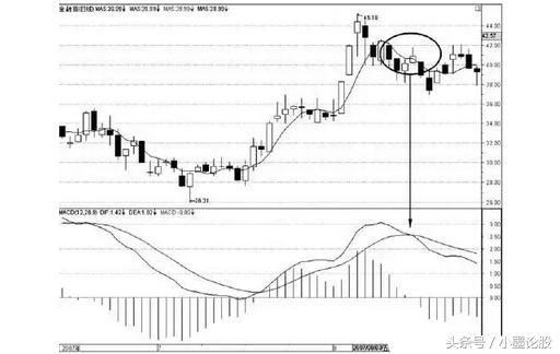一位成功老股民赠言：学会5招，MACD+均线相结合就能闯荡股市！