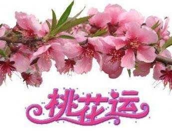 “桃花运”会不会影响财运？附案例详解
