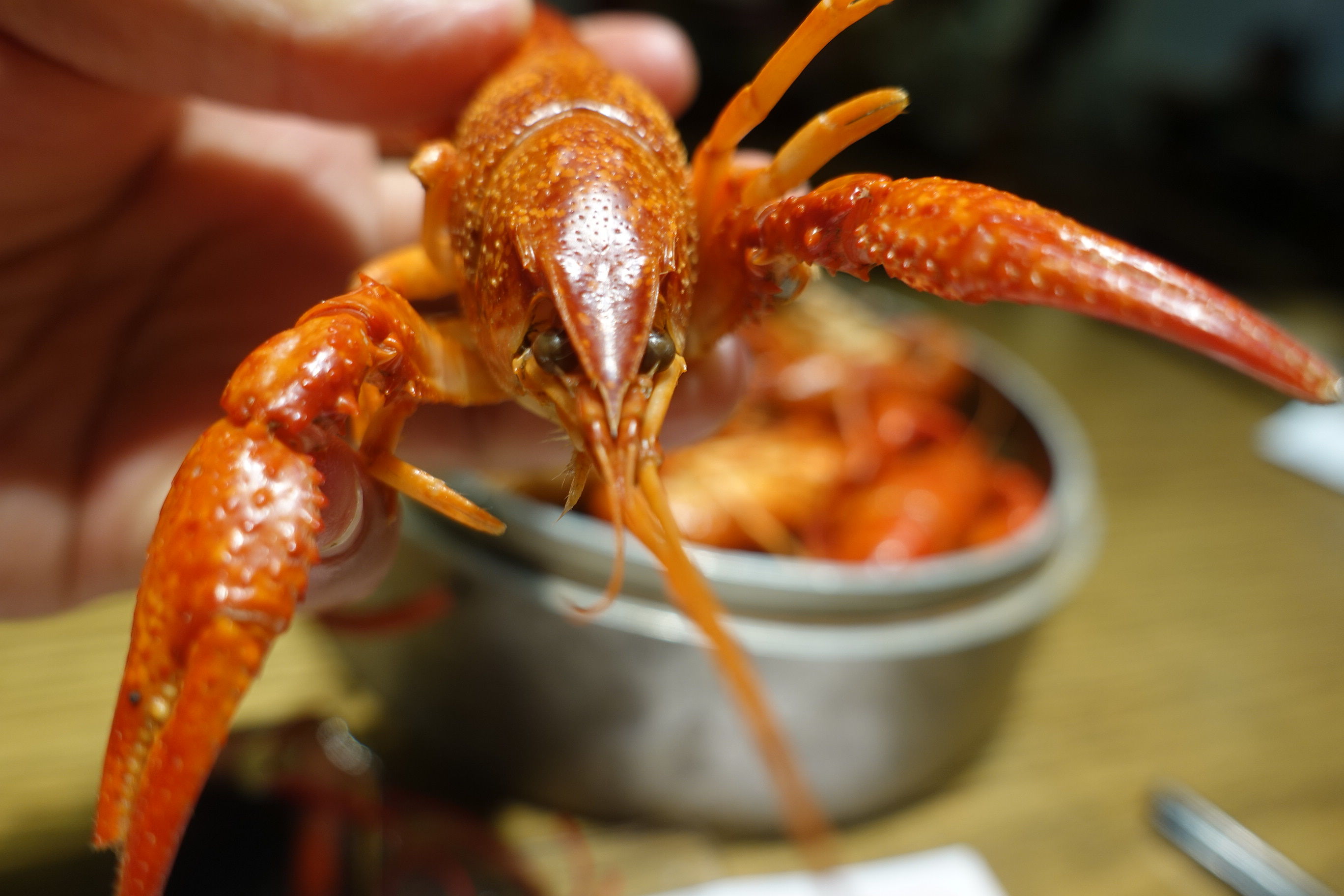 边看世界杯边吃小龙虾,3个人吃掉整整6笼小龙