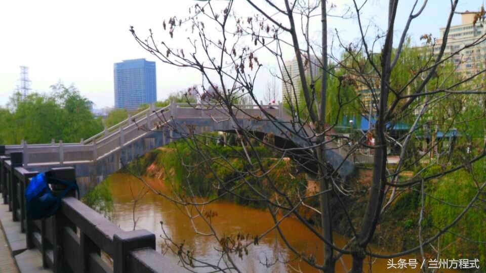 兰州雁滩公园 繁华都市中的“桃花源” 天水一色别有洞天