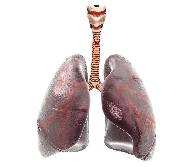 长期吸烟的人,戒烟多久后,肺部能恢复正常?看