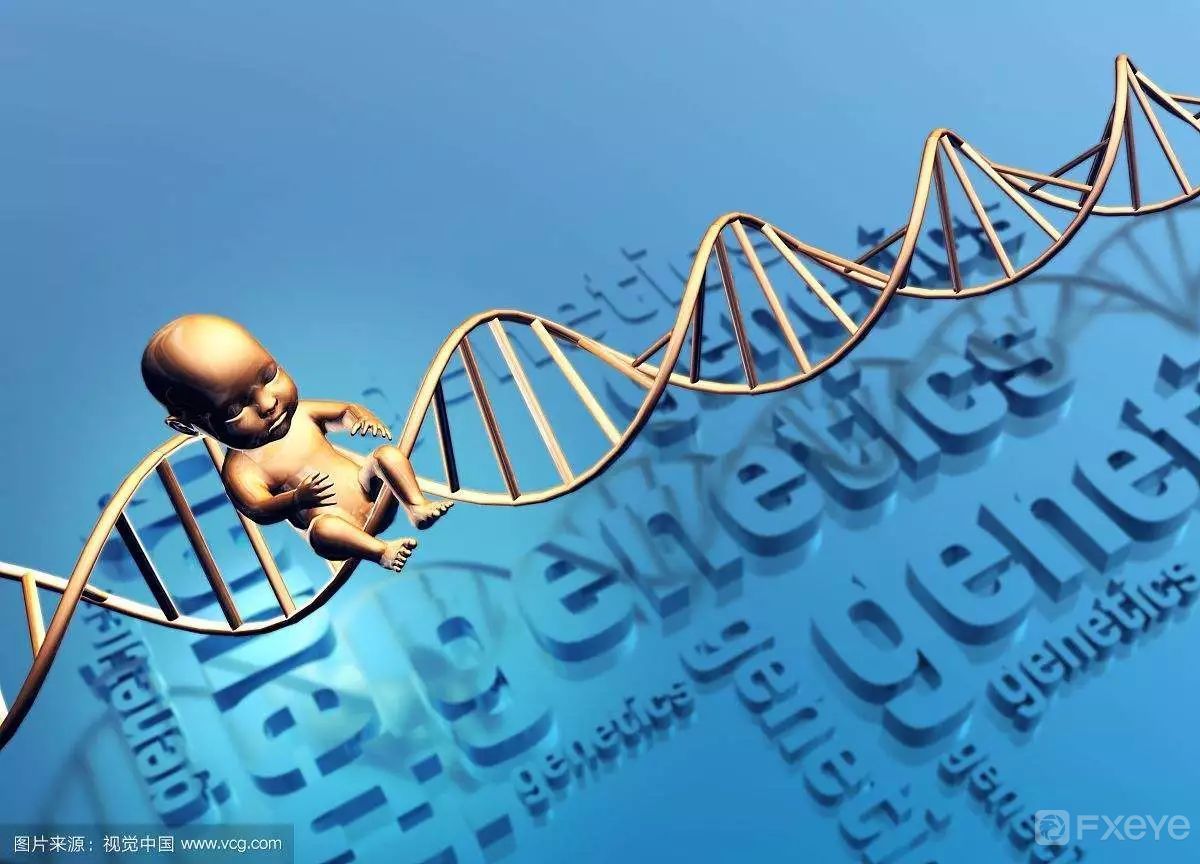 社会视角丨世界首例基因编辑婴儿诞生,技术创