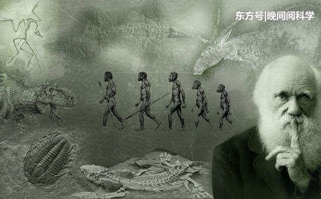 生物进化论无法阻碍人体发展，科学家：数百年后人类或能摧毁太阳