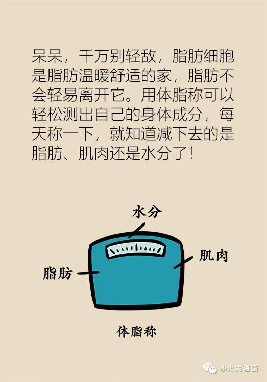 谁说减肥就一定要饿肚子？协和医生教你吃出好身材！