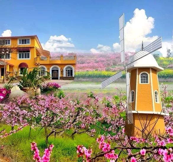 一对夫妻把青白江农家改造成“田园牧歌”，从此家有美景何必远方