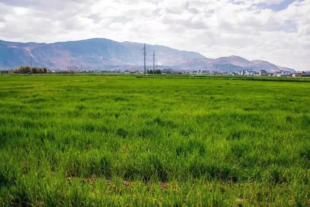 3月，美的不仅是丽江，更是丽江旁边的这座小城！