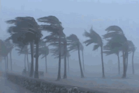 t01fe70376e1b10513e.jpg