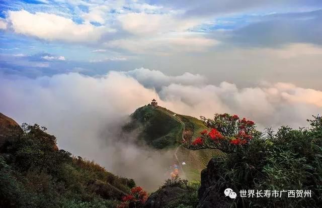 107岁长寿老人游姑婆山，带着健康身体游玩之余，更有长寿经验分