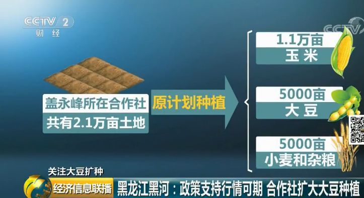 【调查】东北出大招扩种大豆:每亩补贴350元!背后有啥深意?