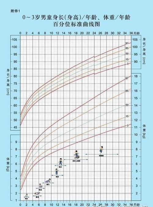 公司注册号是什么