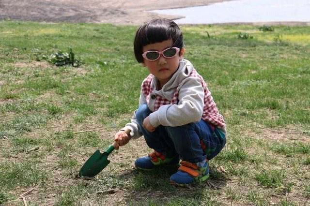 苦菜茶这样吃,治胃病,腹部胀满有奇效