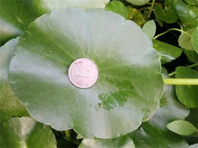 t01fecced059c44ec39.jpg
