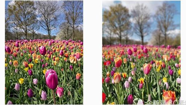 诺基亚9和华为P30拍照对比:5镜头和4镜头区别