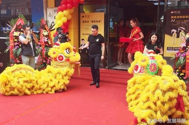 老虎一发威 醛都是病猫甲醛克星 醛老虎强势