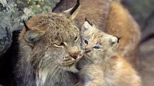 第一次去南京玩,有哪些地方一定要去?