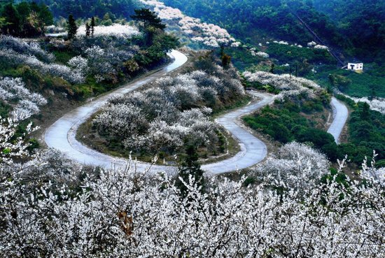 中国山地马拉松赛起跑 西游记拍摄地嵖岈山打头枪