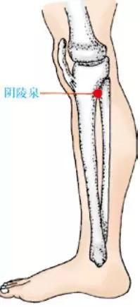 失眠多梦、睡不踏实？你其实睡了个假觉！教你几招，一觉到天亮