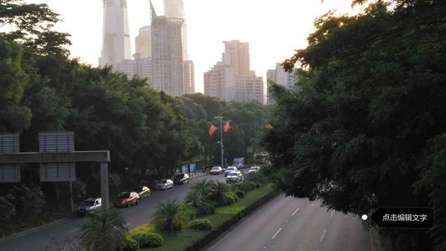 骑行深圳数百里,看看深圳的道路绿化,不服不行