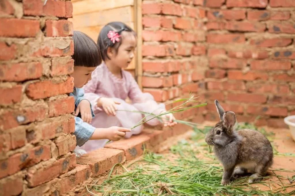 我在梨花盛开的听紫云，候你佳音！