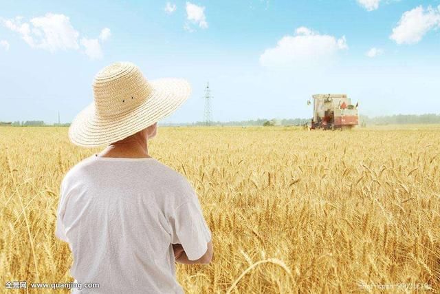 农民农田的新补贴出来了，农民到底拿到多少