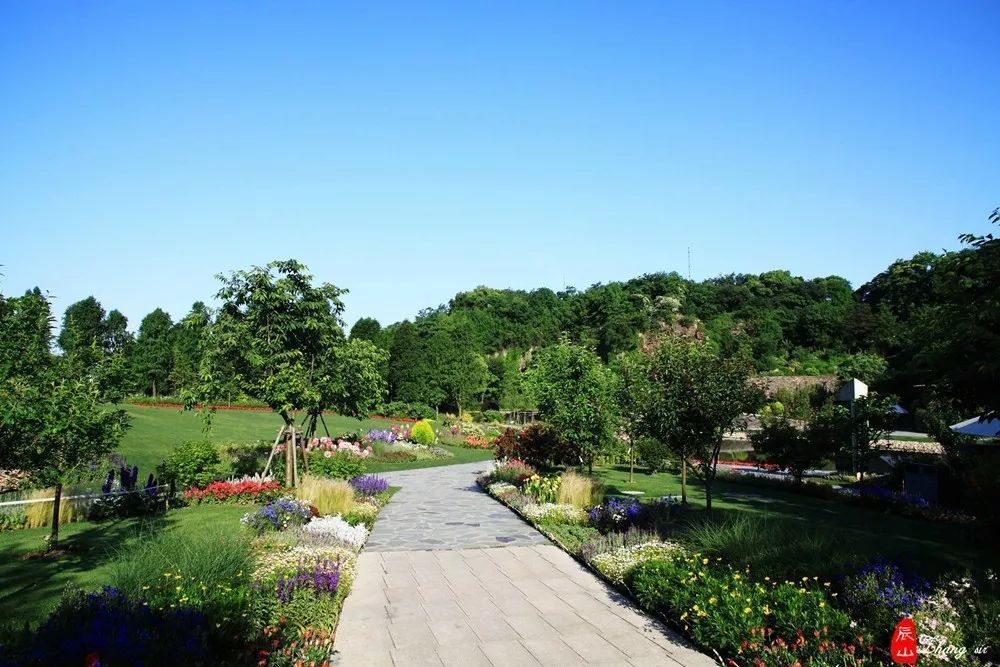 zyeen分享|辰山植物园矿坑花园的"前世今生"