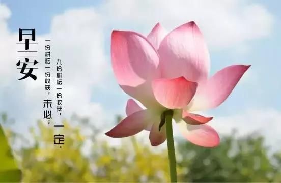 簲ʺͼƬ־