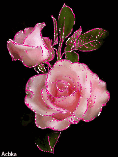 【原创】最美《动态玫瑰花素材》真的很棒!见了就想收藏!