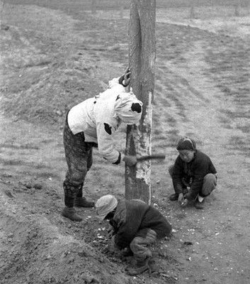 【民國老照片再現1942年的河南大饑荒,路旁樹皮都被扒下吃光!】