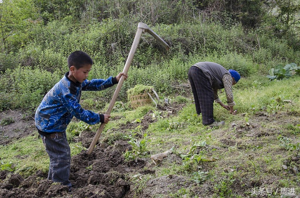 今日农村常见情景,老人带着孙子不在家里做家务就在地里种庄稼