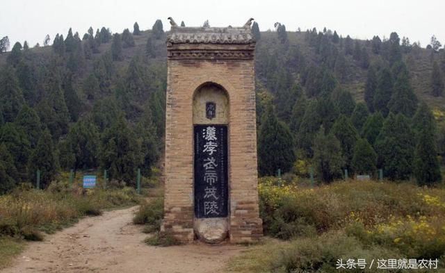 一个是贤良慧美的卫子夫,一个是娇俏玲珑的钩弋夫人,还有一个是婀娜