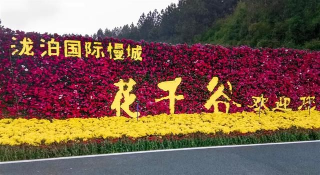 盛赞双牌泷泊百亩花海