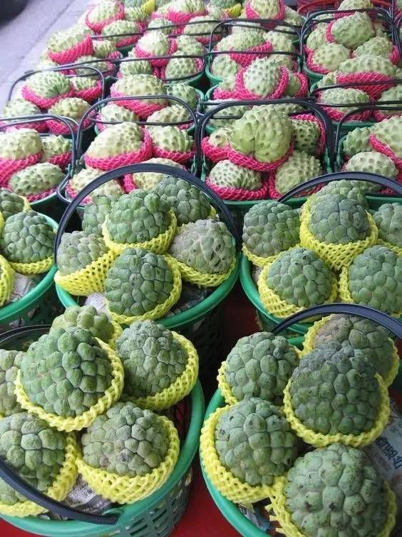 这些水果,岳阳人吃过5种以上是土豪,10种以上是贵族!